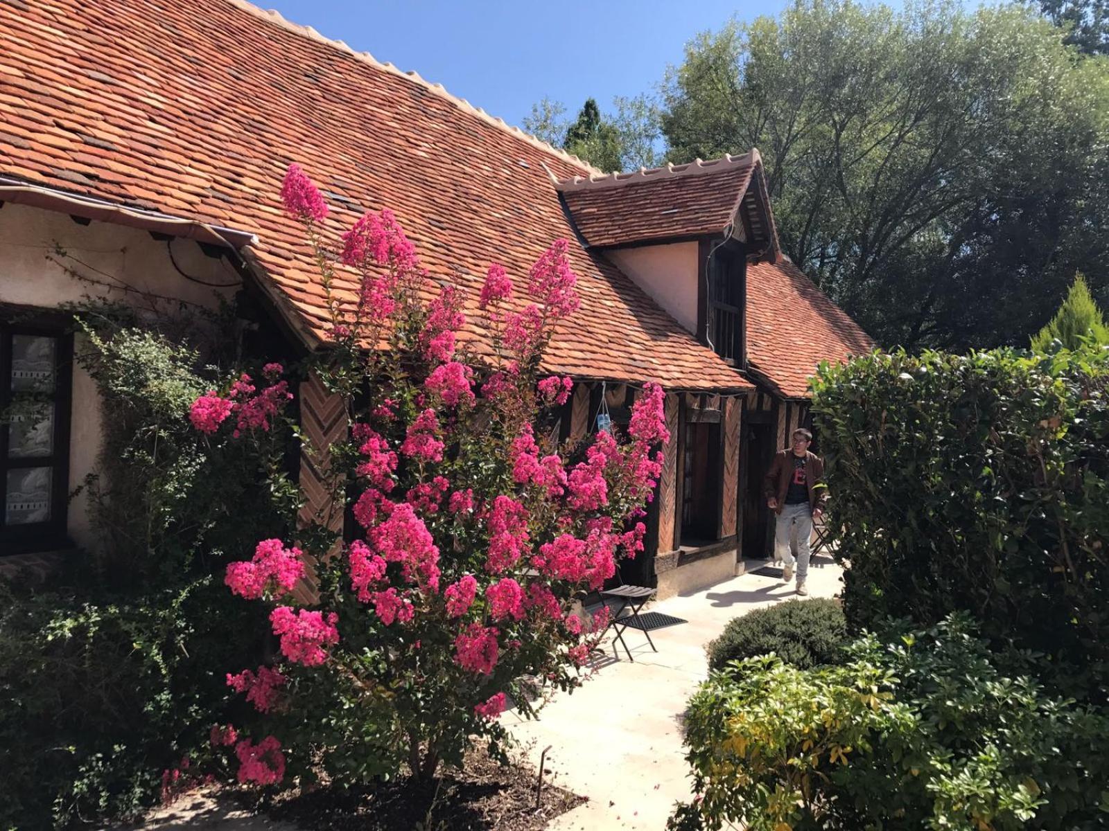 Vernou-en-Sologne Domaine De Grand-Pasヴィラ エクステリア 写真