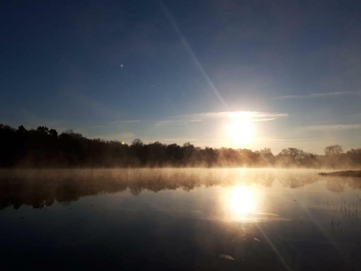 Vernou-en-Sologne Domaine De Grand-Pasヴィラ エクステリア 写真